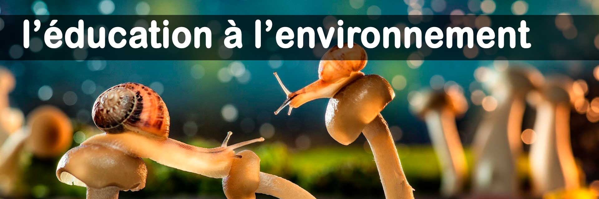 l'éducation à l'environnement